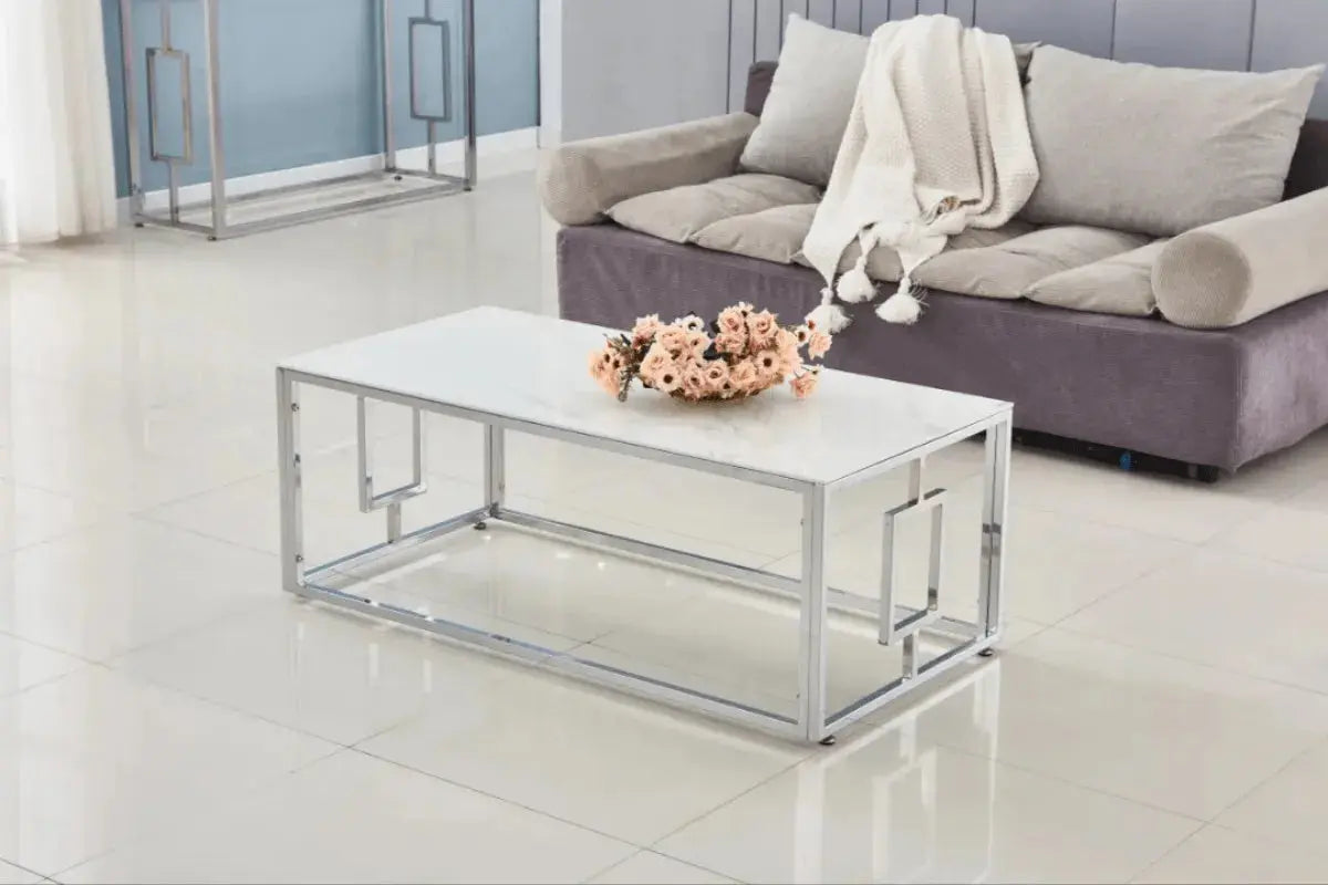 Table Basse Sophie Pieds Chrome 120x60x45 CM Swedzo-Meuble