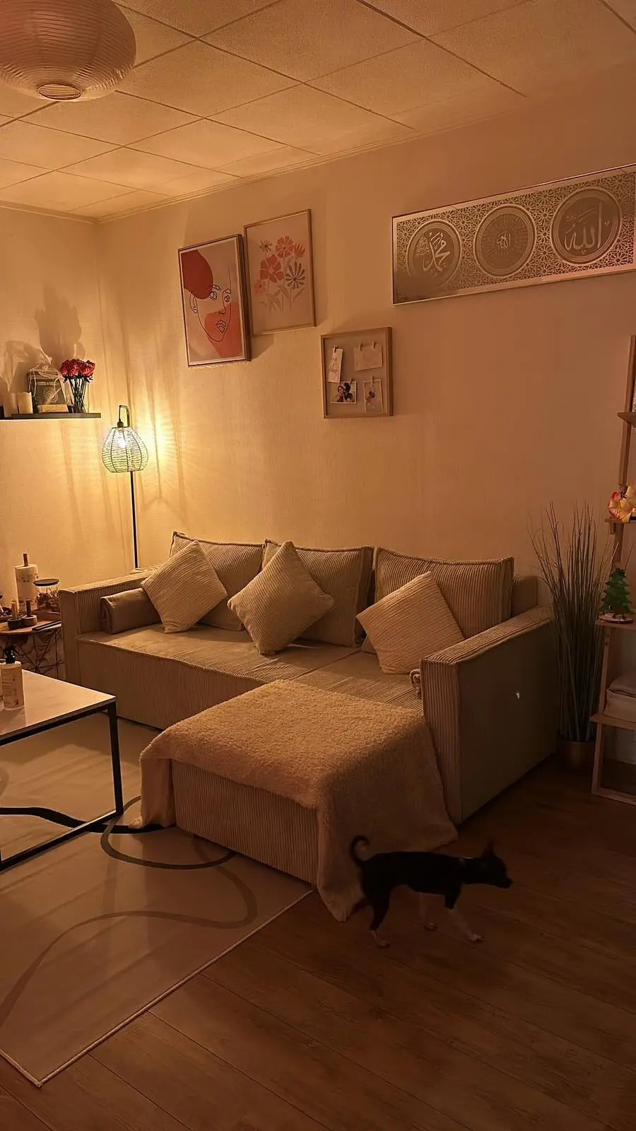lit paris canape D angle Swedzo-Meuble